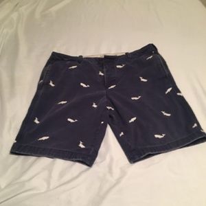 Abercrombie Rare Size 36 Whale Shorts